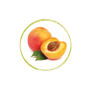 Apricot Puree