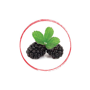 Blackberry Puree