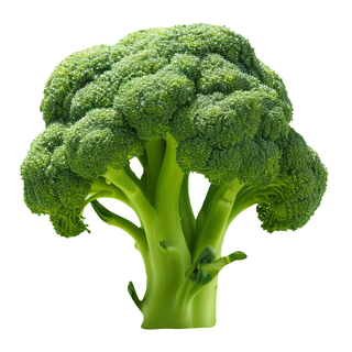 Frozen Uncalibrated Broccoli