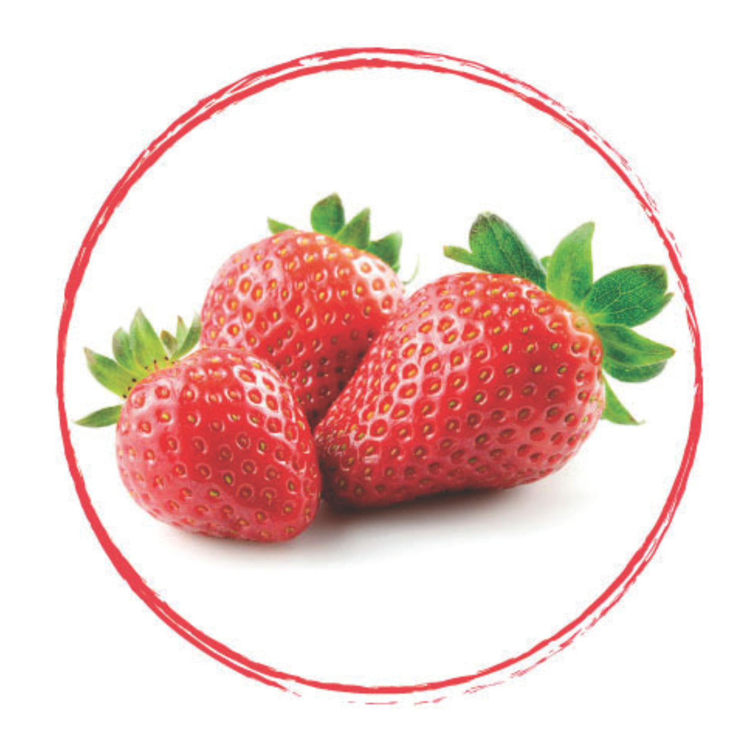 Puree Strawberry Fruit Rouges Kg Fruits Rouges Strawberry Puree 90% Frz 1Kg – Greenhouse Foodstuff ...