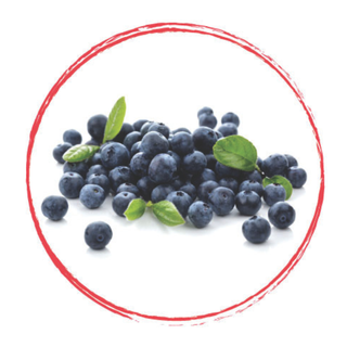 Fruits Rouges Blueberry Puree 90% Frz 1Kg