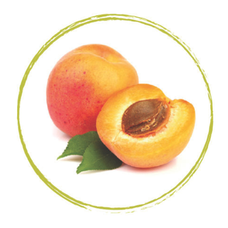 Fruits Rouges Apricot Puree 90% Frz 1Kg
