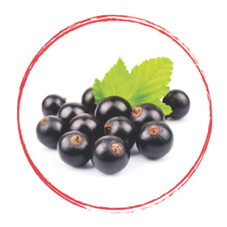 Fruits Rouges Blackcurrant Puree 90% Frz 1Kg
