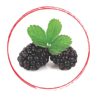 Fruits Rouges Blackberry Cultivated Frz 1Kg