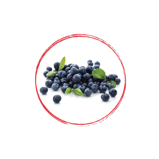 Blueberry Puree