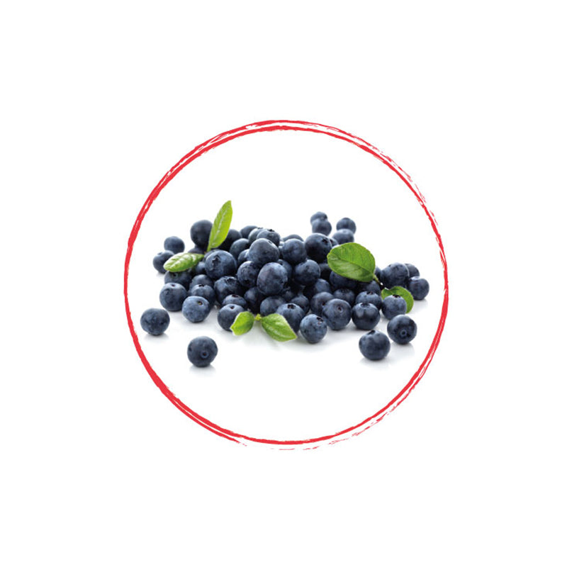 Wild Blueberry Whole