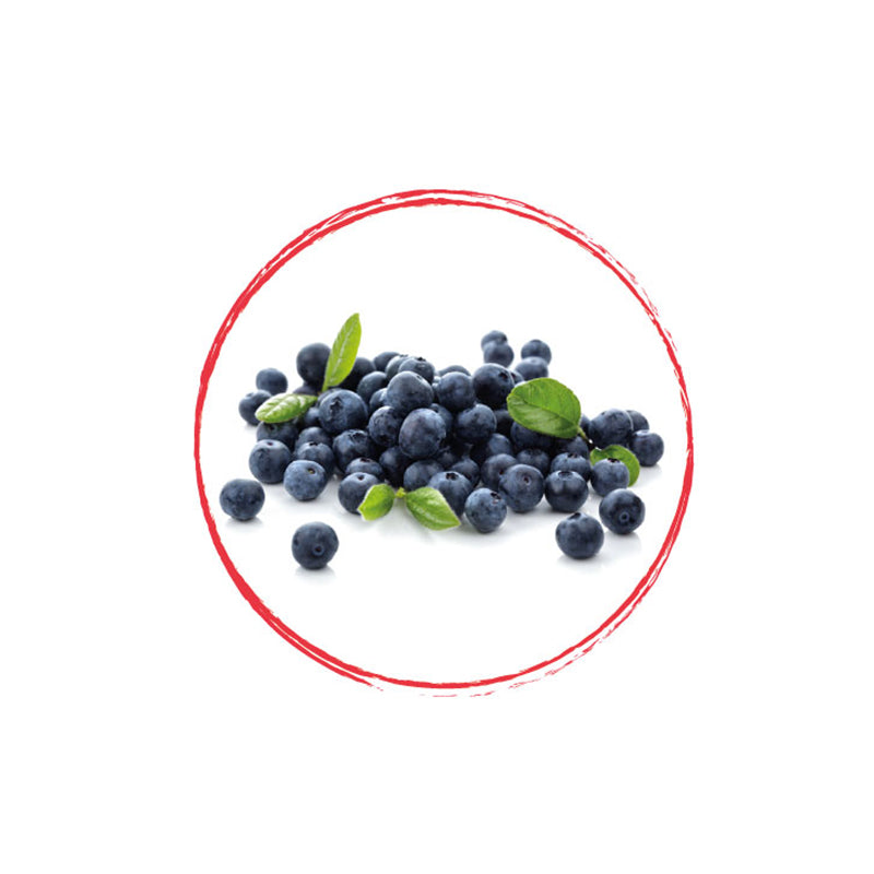 Cultivated Blueberry Whole